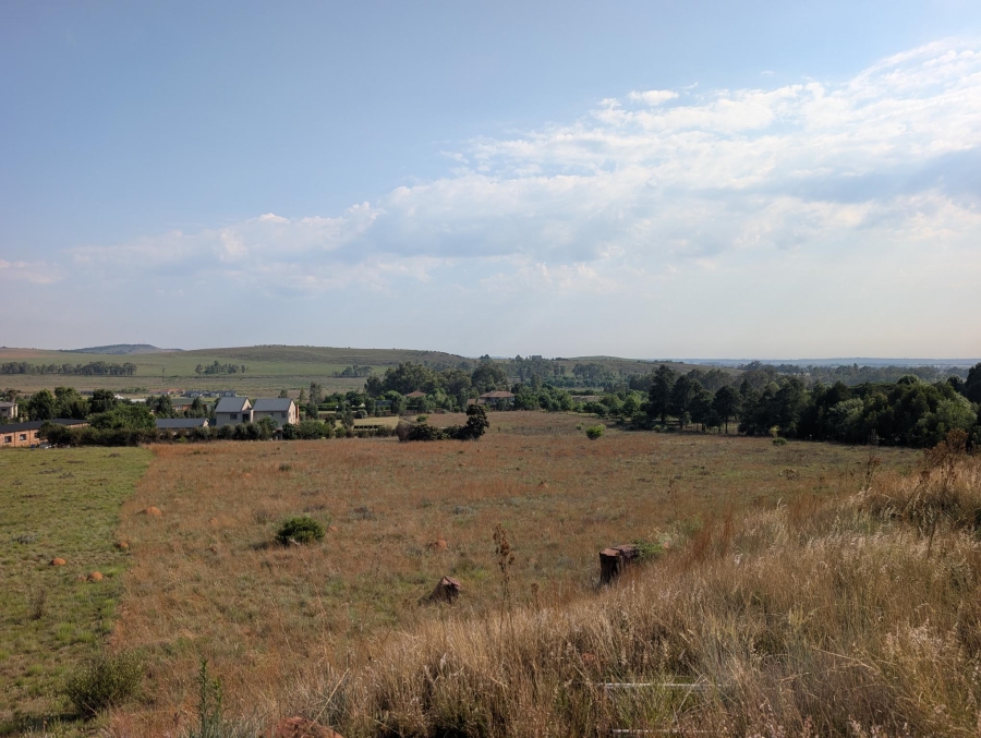 0 Bedroom Property for Sale in Blue Saddle Ranches Gauteng