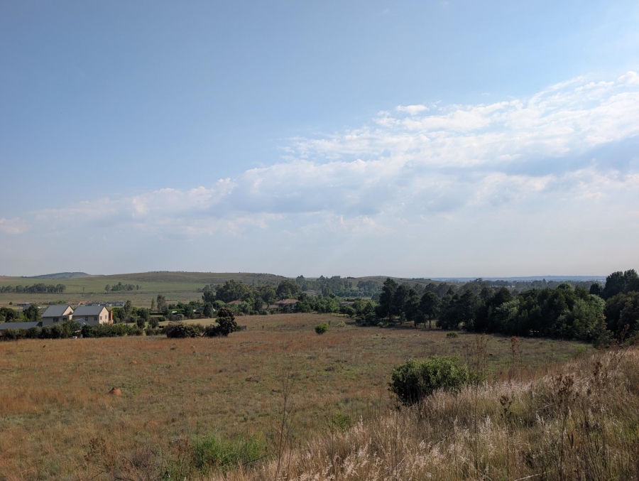 0 Bedroom Property for Sale in Blue Saddle Ranches Gauteng