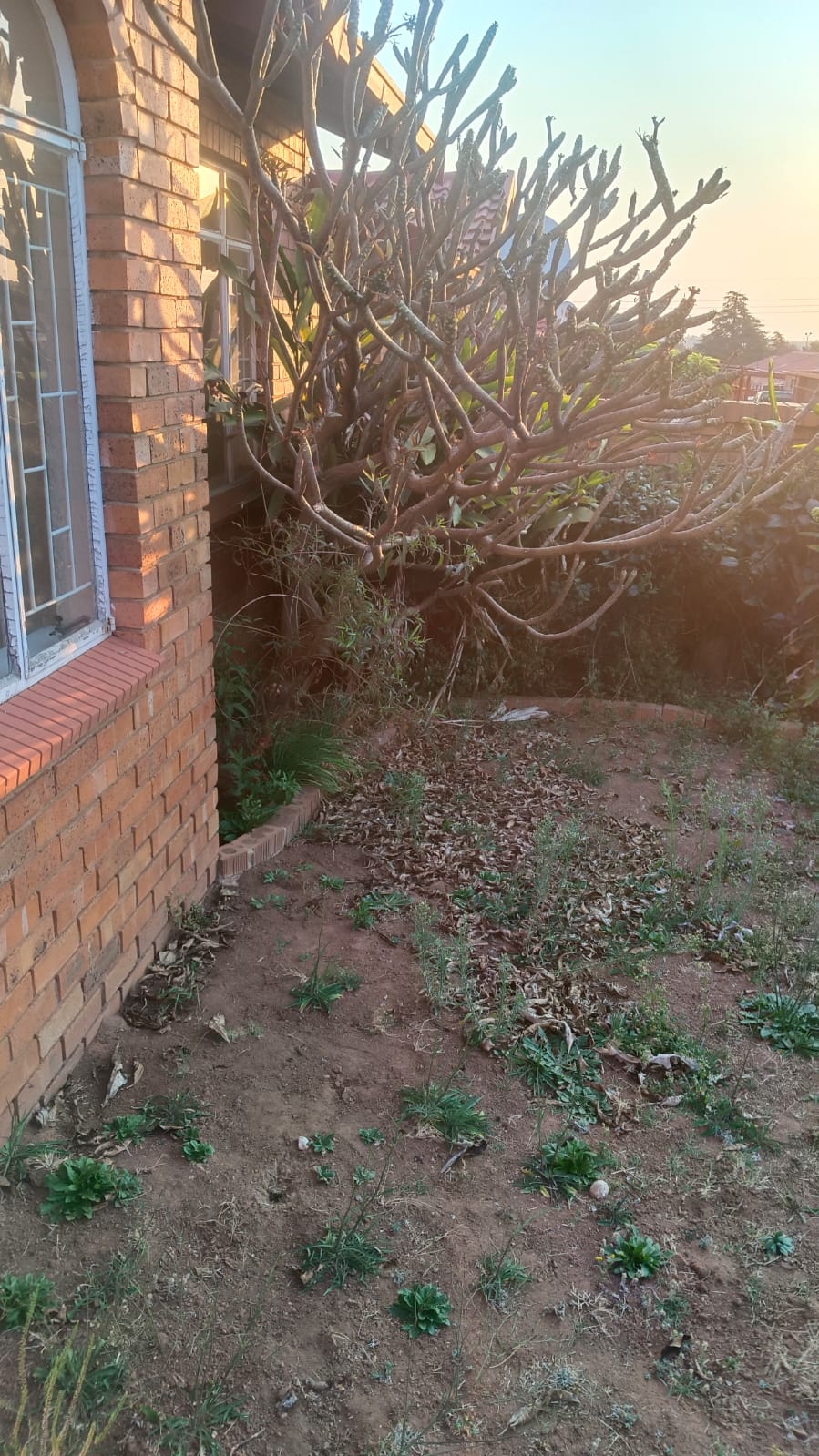 3 Bedroom Property for Sale in Krugersdorp North Gauteng