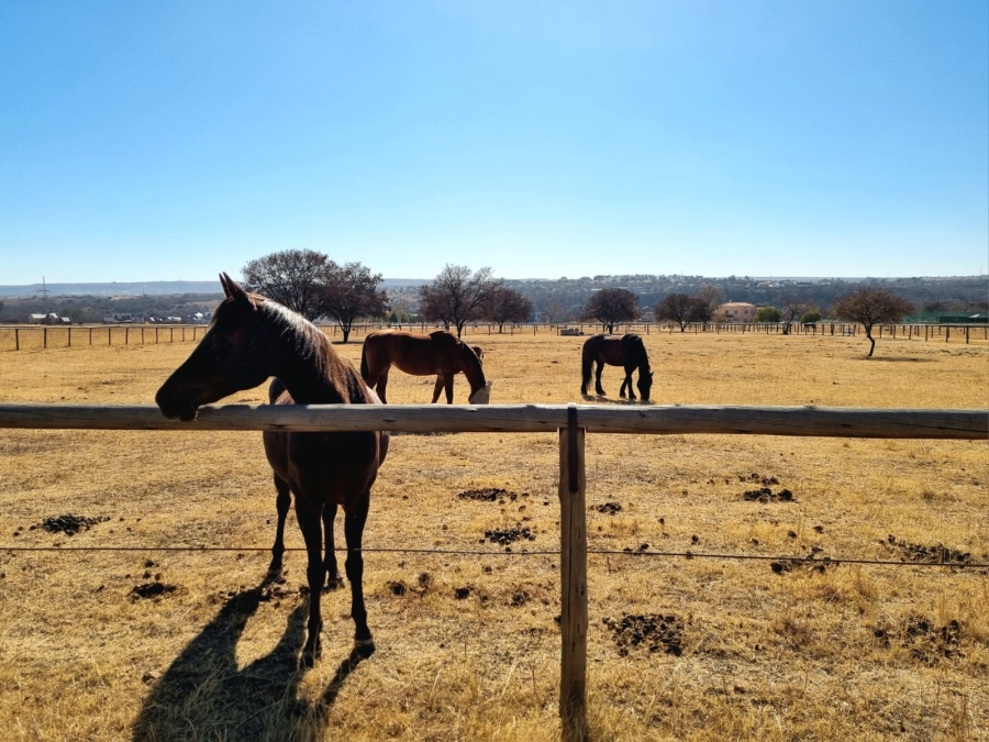 0 Bedroom Property for Sale in Waterlake Farm Lifestyle Estate Gauteng