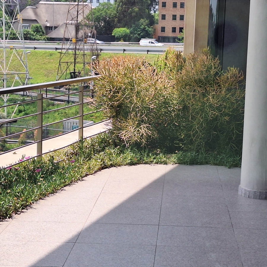 To Let Commercial Property for Rent in Melrose Gauteng