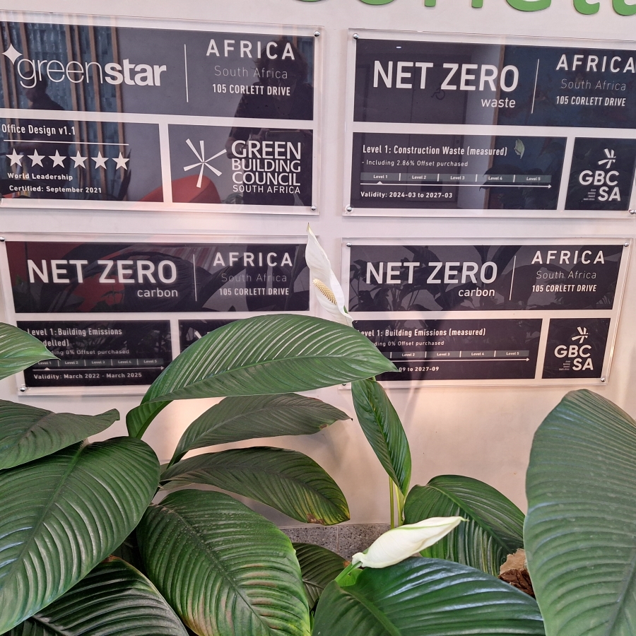 To Let Commercial Property for Rent in Melrose Gauteng