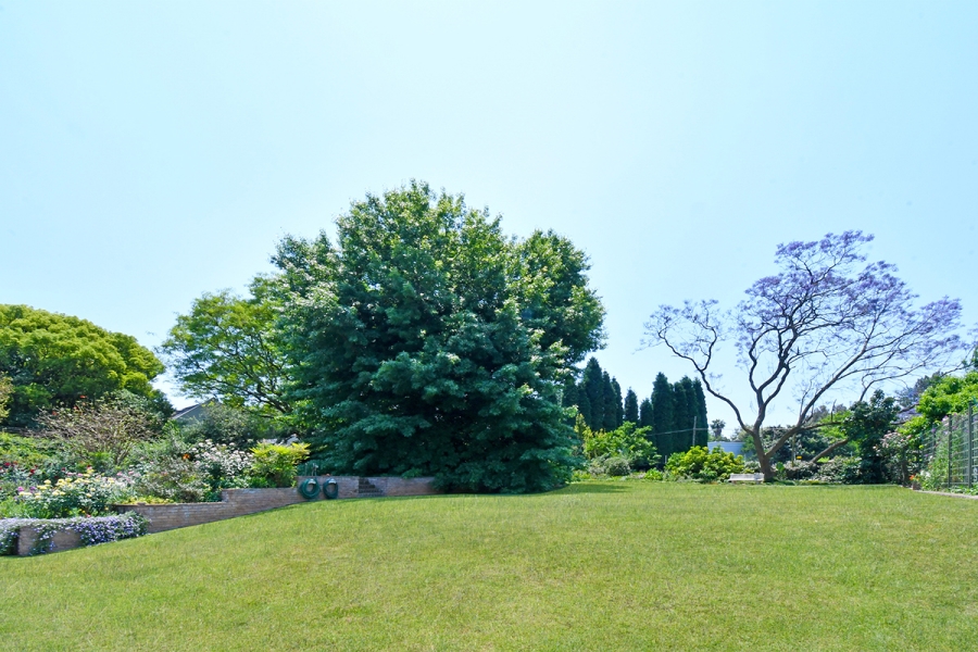 4 Bedroom Property for Sale in Bryanston Gauteng