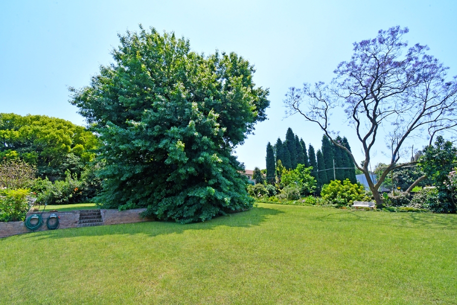 4 Bedroom Property for Sale in Bryanston Gauteng