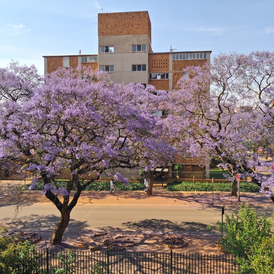 3 Bedroom Property for Sale in Sunnyside Gauteng