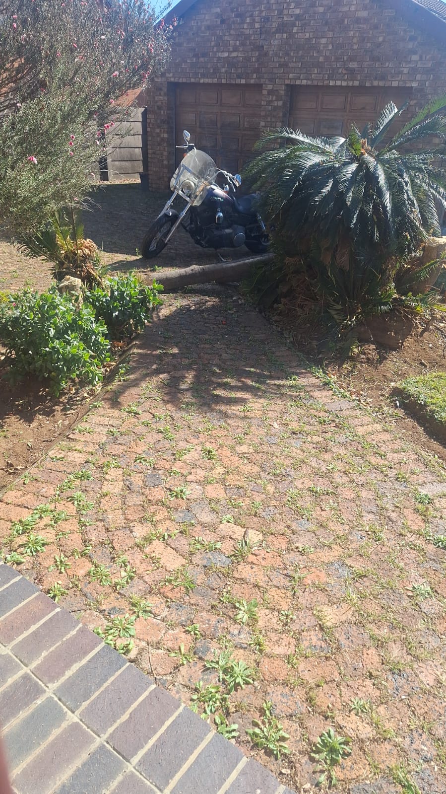3 Bedroom Property for Sale in Riamar Park Gauteng