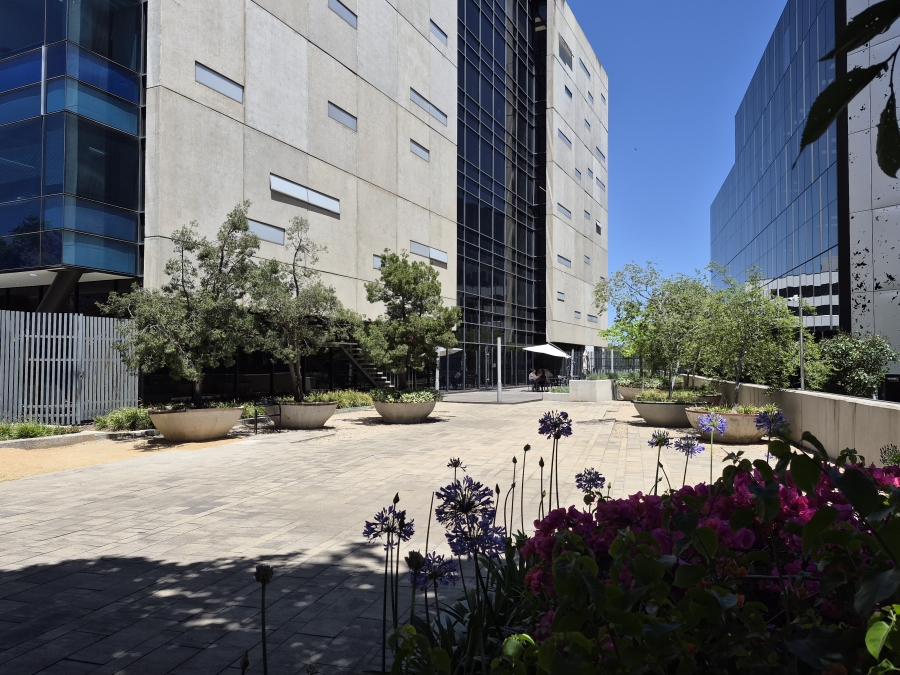 To Let Commercial Property for Rent in Sandown Gauteng