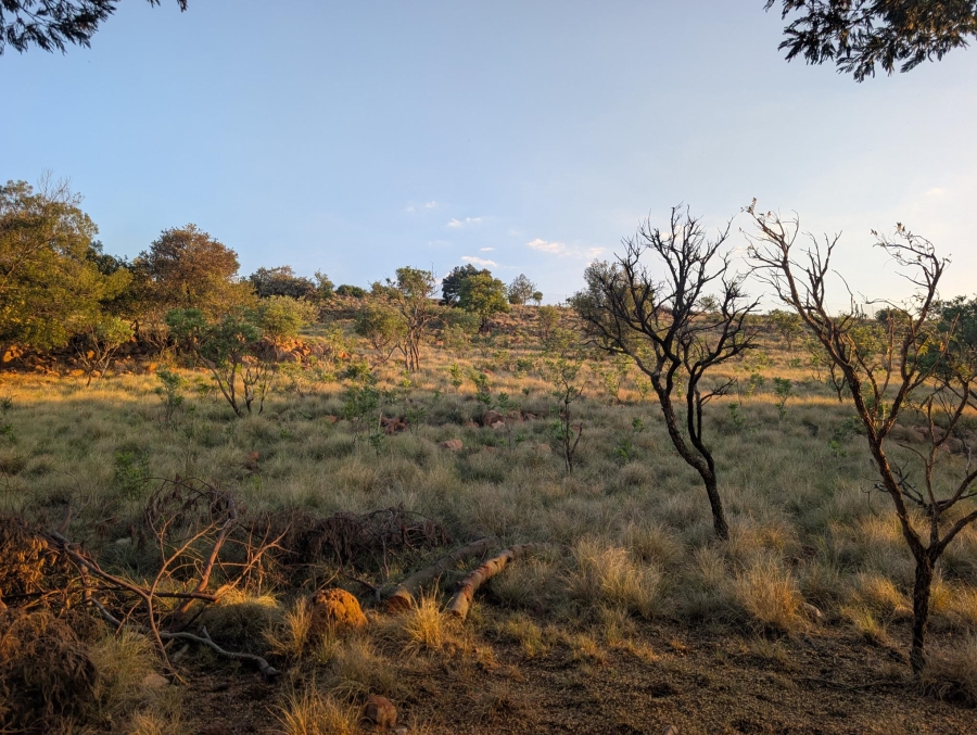 0 Bedroom Property for Sale in Blue Saddle Ranches Gauteng