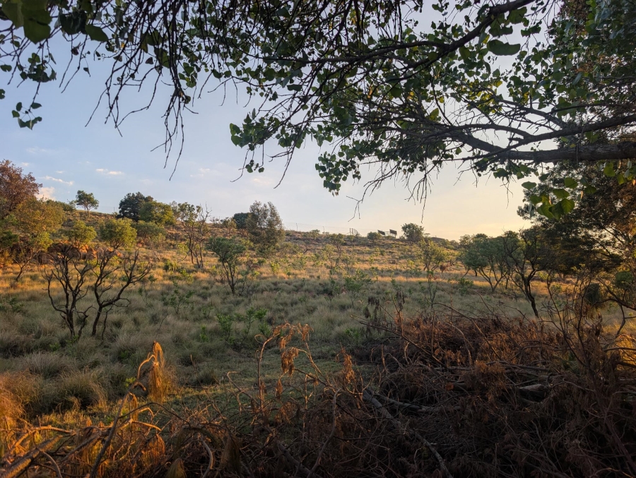 0 Bedroom Property for Sale in Blue Saddle Ranches Gauteng
