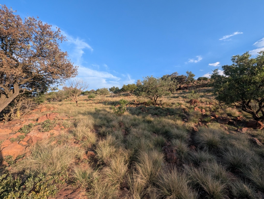 0 Bedroom Property for Sale in Blue Saddle Ranches Gauteng