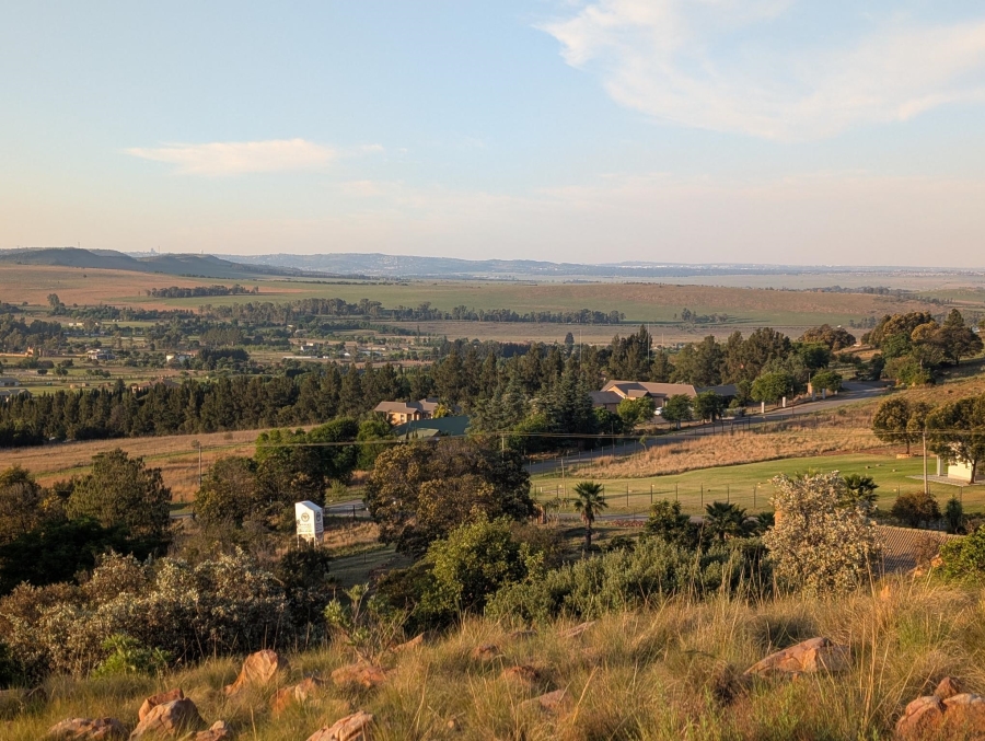 0 Bedroom Property for Sale in Blue Saddle Ranches Gauteng