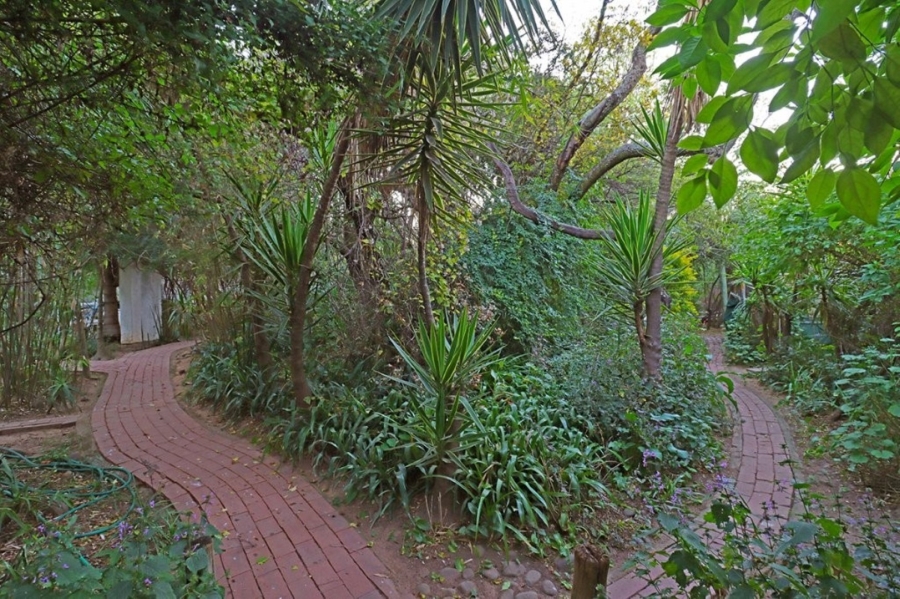 To Let 3 Bedroom Property for Rent in Bryanston Gauteng