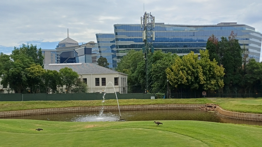 To Let Commercial Property for Rent in Wierda Valley Gauteng