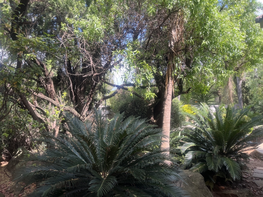 4 Bedroom Property for Sale in Glenvista Gauteng