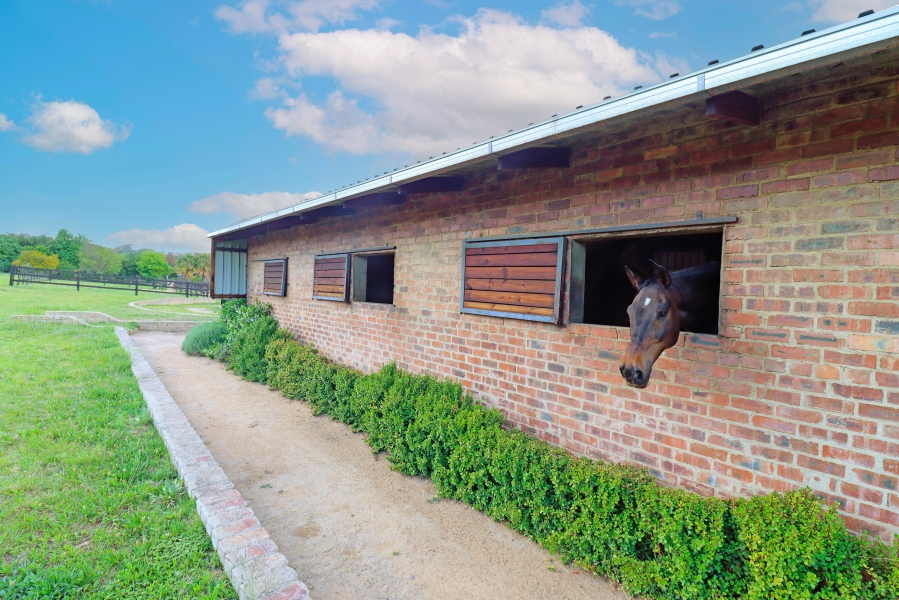 3 Bedroom Property for Sale in Sun Valley Gauteng