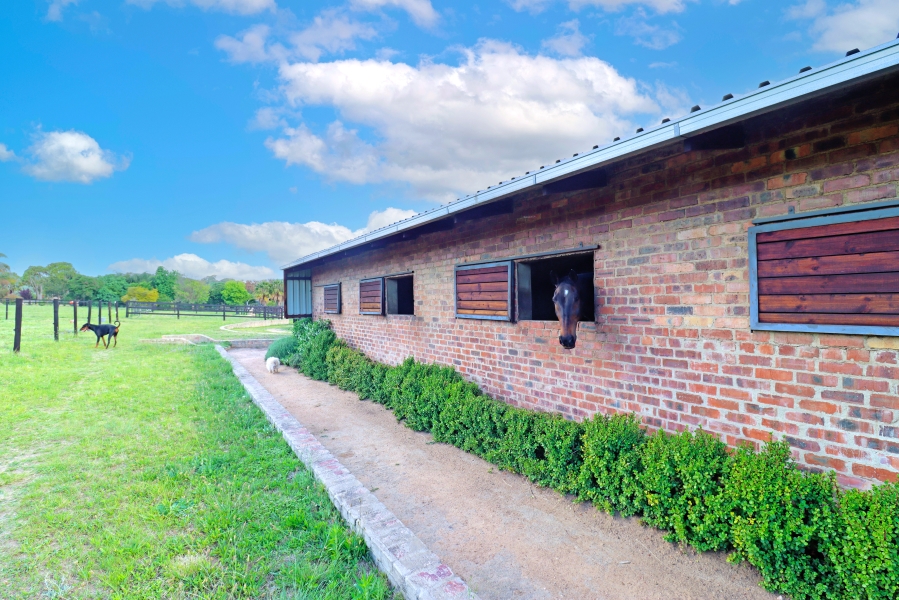 3 Bedroom Property for Sale in Sun Valley Gauteng
