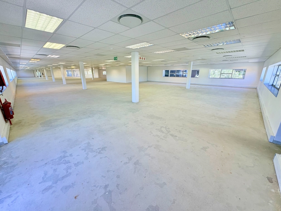 To Let Commercial Property for Rent in Longmeadow Gauteng