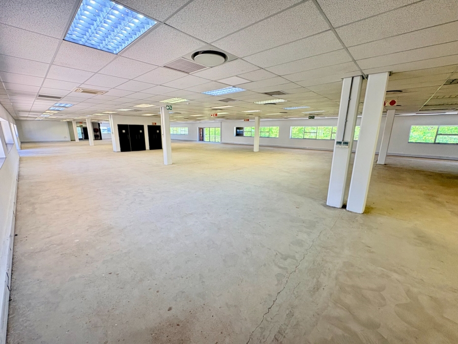 To Let Commercial Property for Rent in Longmeadow Gauteng
