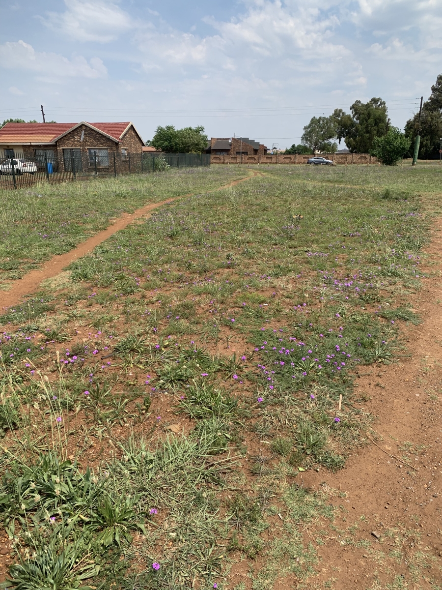 0 Bedroom Property for Sale in Henley on Klip Gauteng