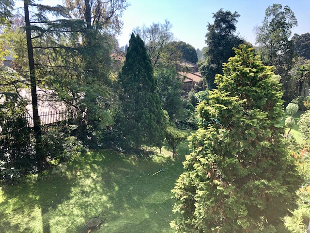 To Let 2 Bedroom Property for Rent in Illovo Gauteng
