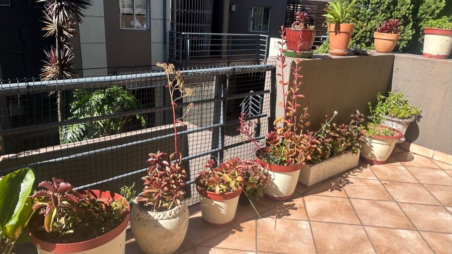 To Let 3 Bedroom Property for Rent in Houghton Estate Gauteng