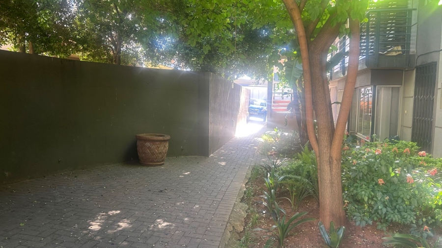 To Let 3 Bedroom Property for Rent in Houghton Estate Gauteng