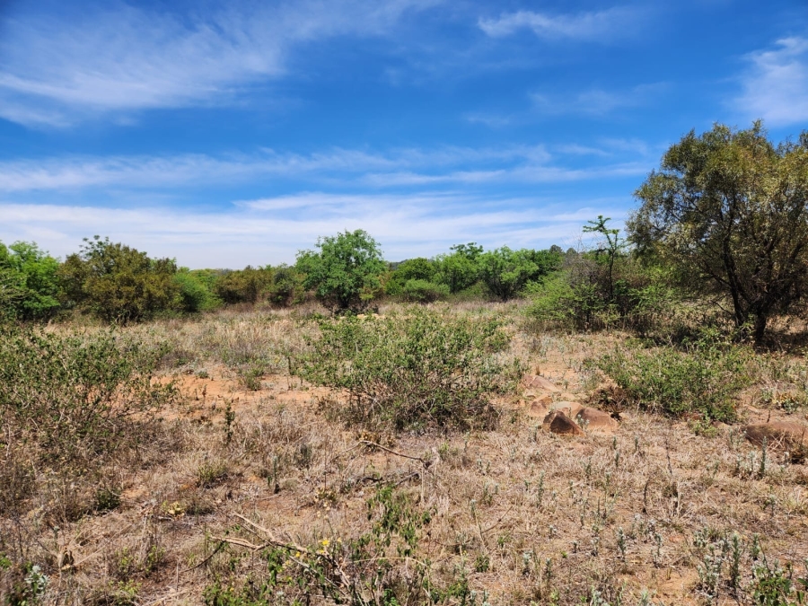 0 Bedroom Property for Sale in Leeuwfontein Gauteng