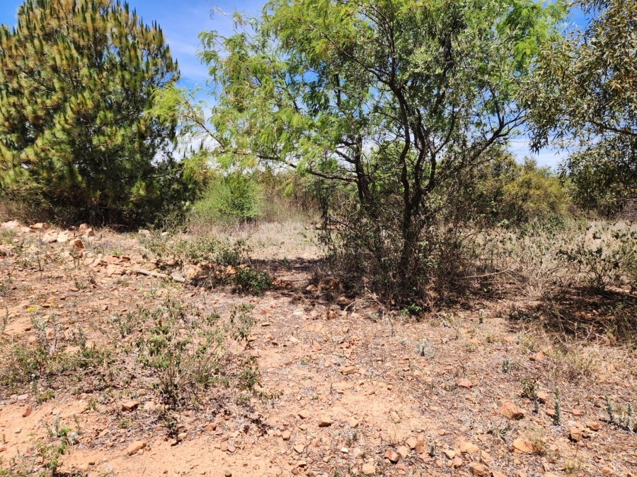 0 Bedroom Property for Sale in Leeuwfontein Gauteng
