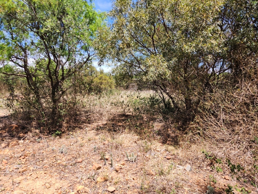 0 Bedroom Property for Sale in Leeuwfontein Gauteng