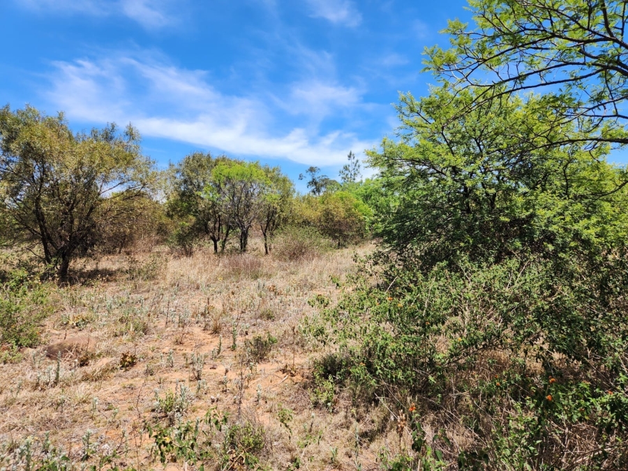 0 Bedroom Property for Sale in Leeuwfontein Gauteng