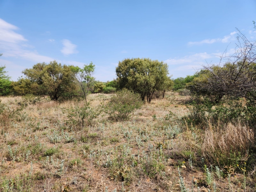 0 Bedroom Property for Sale in Leeuwfontein Gauteng