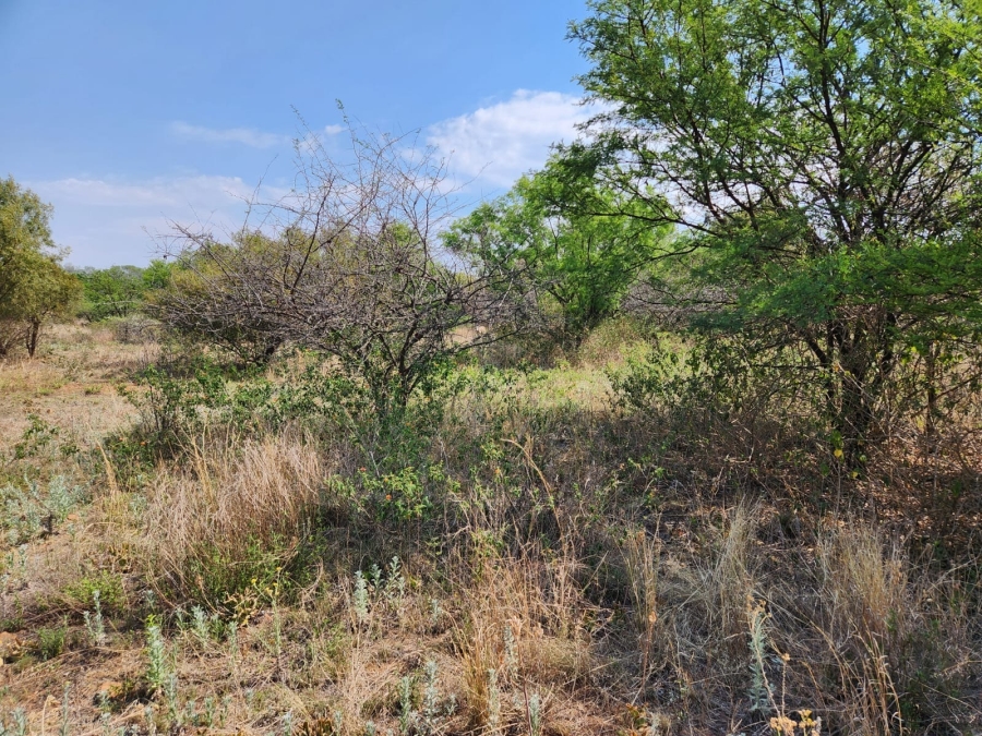 0 Bedroom Property for Sale in Leeuwfontein Gauteng