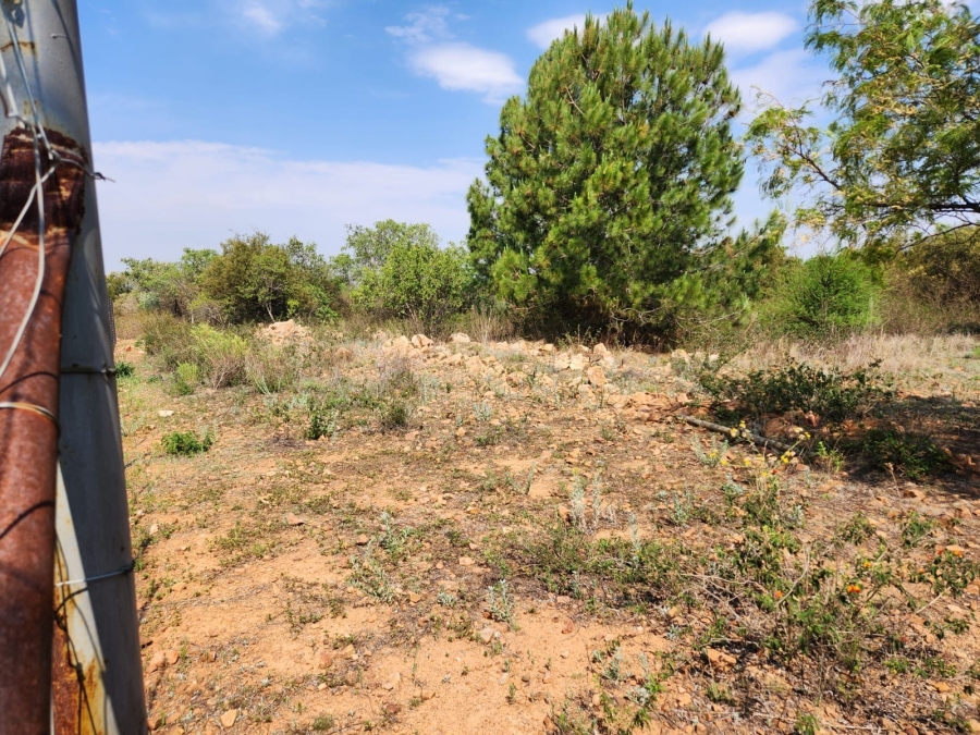 0 Bedroom Property for Sale in Leeuwfontein Gauteng