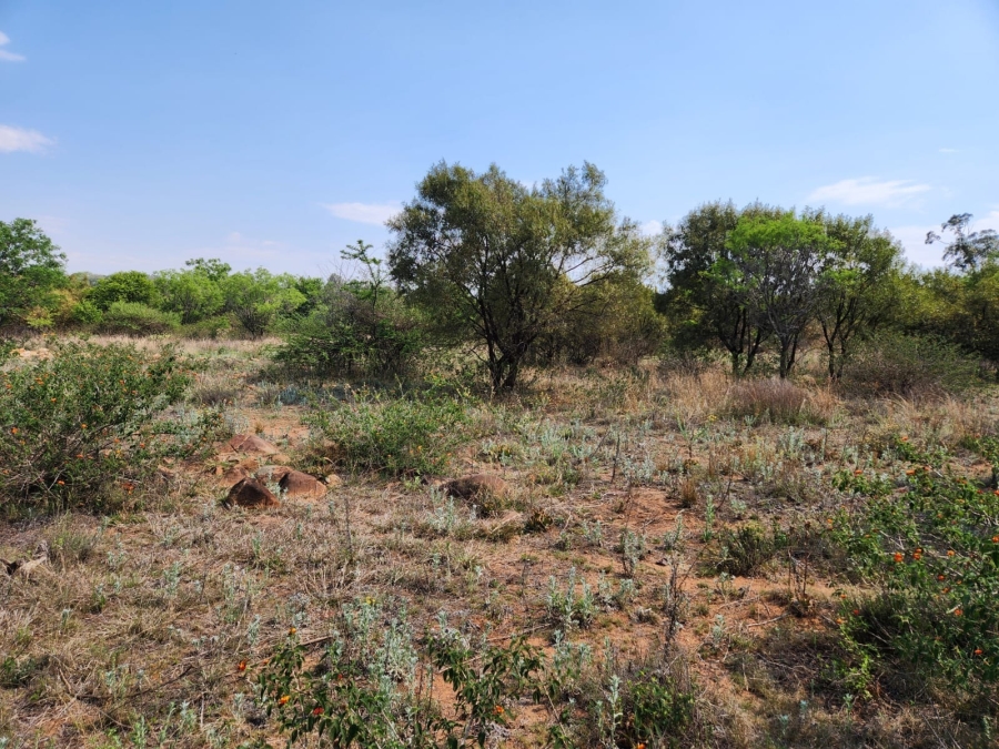 0 Bedroom Property for Sale in Leeuwfontein Gauteng