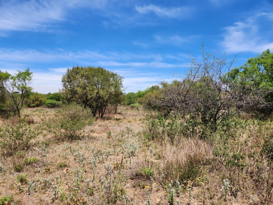 0 Bedroom Property for Sale in Leeuwfontein Gauteng
