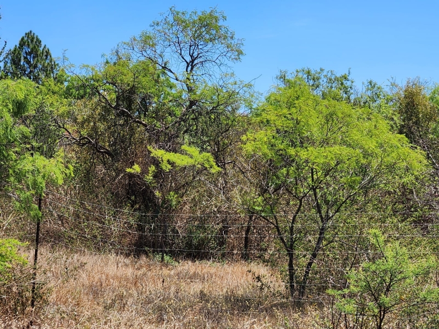 0 Bedroom Property for Sale in Leeuwfontein Gauteng