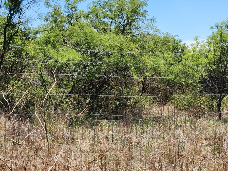 0 Bedroom Property for Sale in Leeuwfontein Gauteng