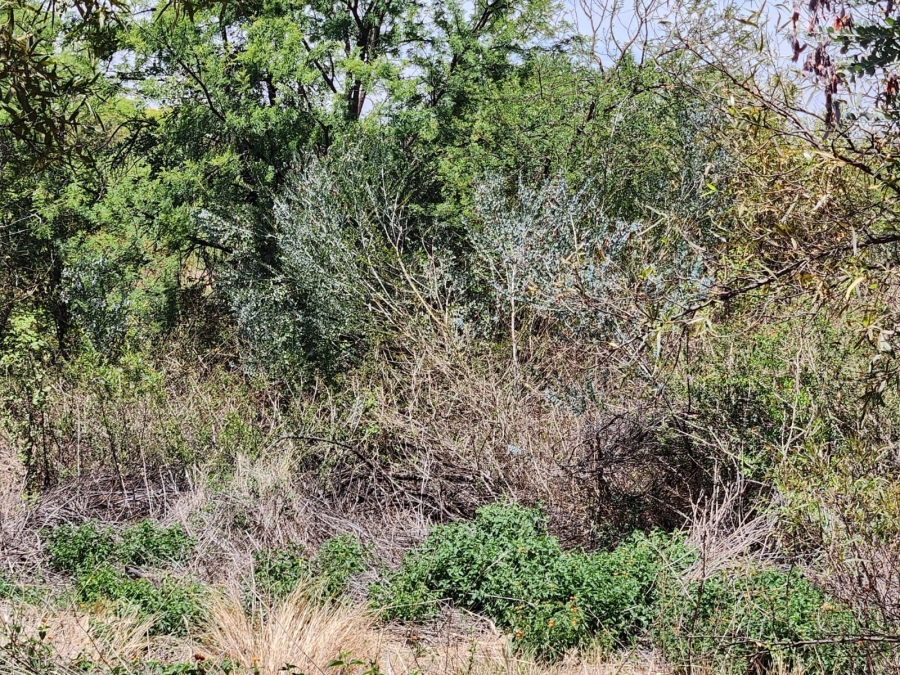 0 Bedroom Property for Sale in Leeuwfontein Gauteng
