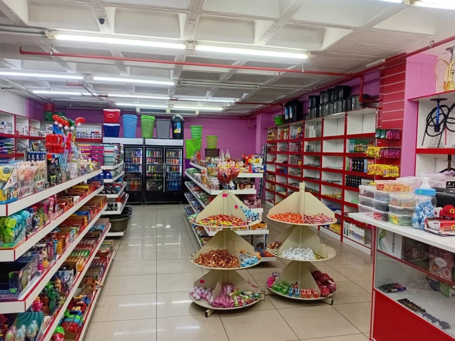 Commercial Property for Sale in Sunnyside Gauteng