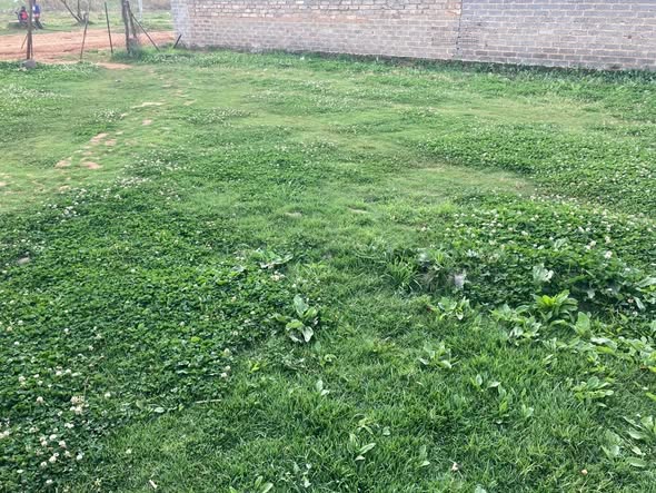 0 Bedroom Property for Sale in Orange Farm Gauteng