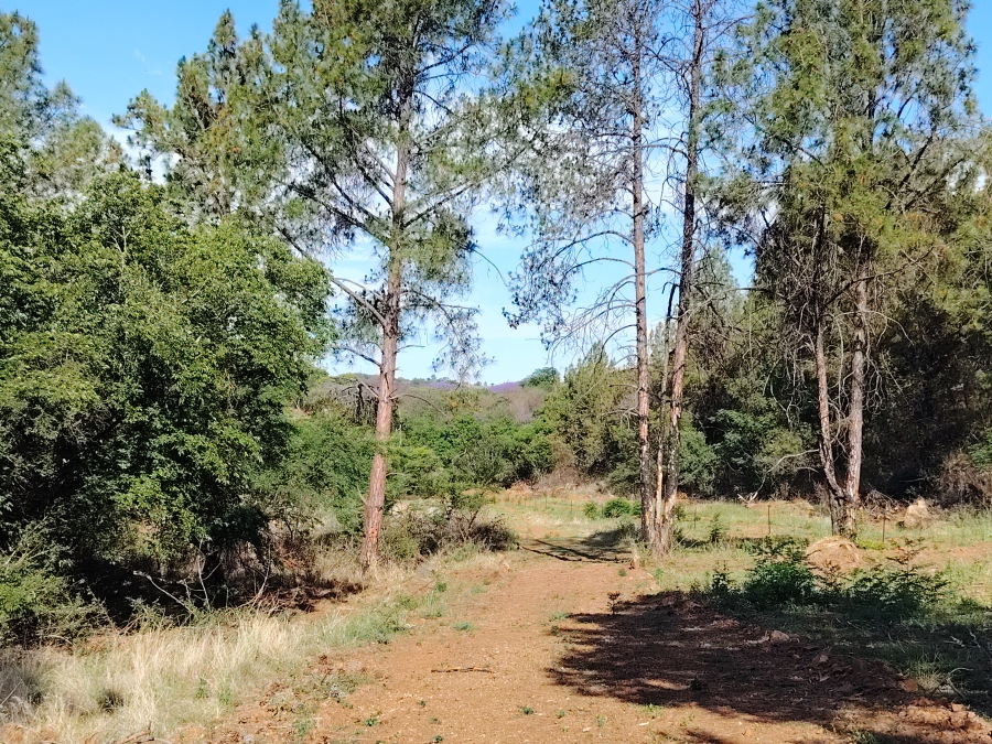 0 Bedroom Property for Sale in Roodeplaat Gauteng