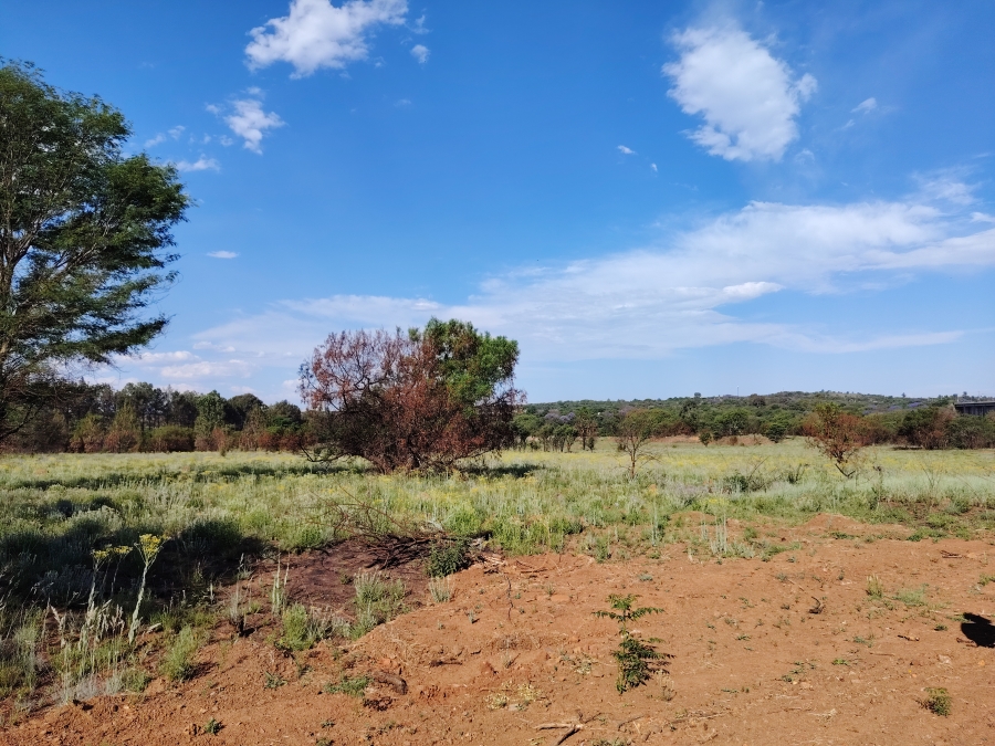 0 Bedroom Property for Sale in Roodeplaat Gauteng