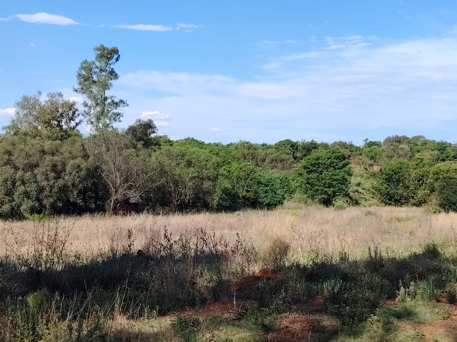 0 Bedroom Property for Sale in Roodeplaat Gauteng
