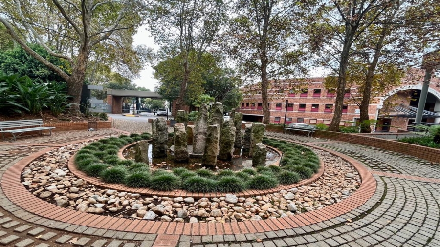 To Let Commercial Property for Rent in Parktown Gauteng