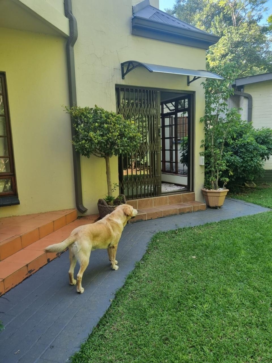 To Let 1 Bedroom Property for Rent in Brooklyn Gauteng