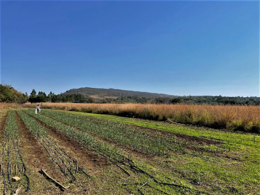 0 Bedroom Property for Sale in Zwavelpoort Gauteng