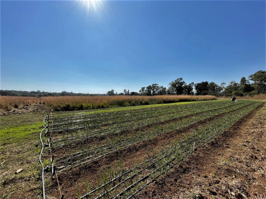 0 Bedroom Property for Sale in Zwavelpoort Gauteng