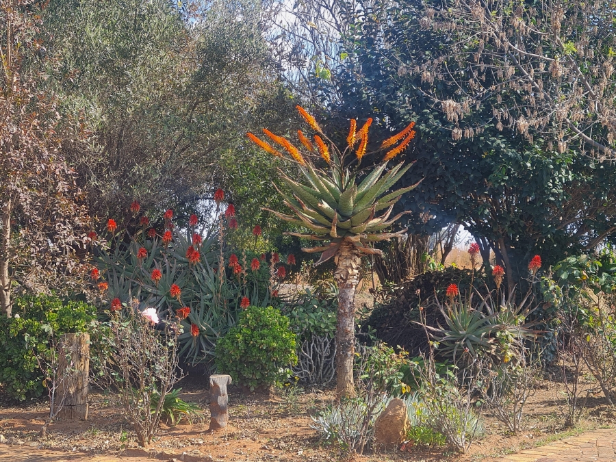 To Let 2 Bedroom Property for Rent in Dunnottar Gauteng