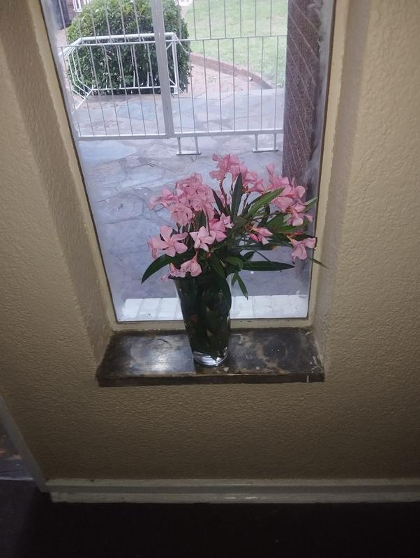 4 Bedroom Property for Sale in Elspark Gauteng