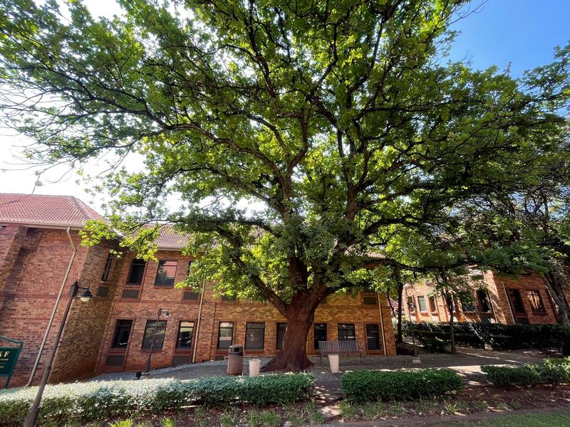 To Let commercial Property for Rent in Lyttelton Gauteng